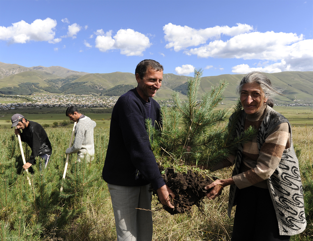 Armenian Nature