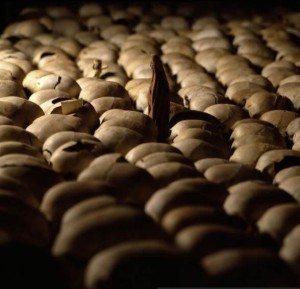 ready Rwanda Genocide Memorial 1 1  300x289 Ordinary Women: Understanding Female Agency in the Perpetration of Genocide