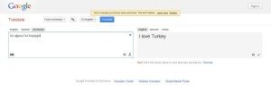 google1 300x114 Google Explains Translation Glitch