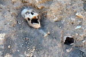 skulls 300x199 Skulls and Bones Exposed in Mass Grave Near Van