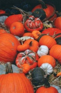 A Thanksgiving Day Always Remembered Thanksgiving189 199x300 A Thanksgiving Day Always Remembered